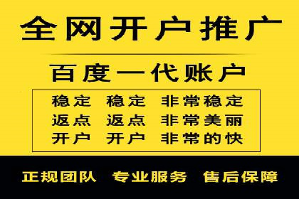 SEM公司案例研究：数据驱动营销策略